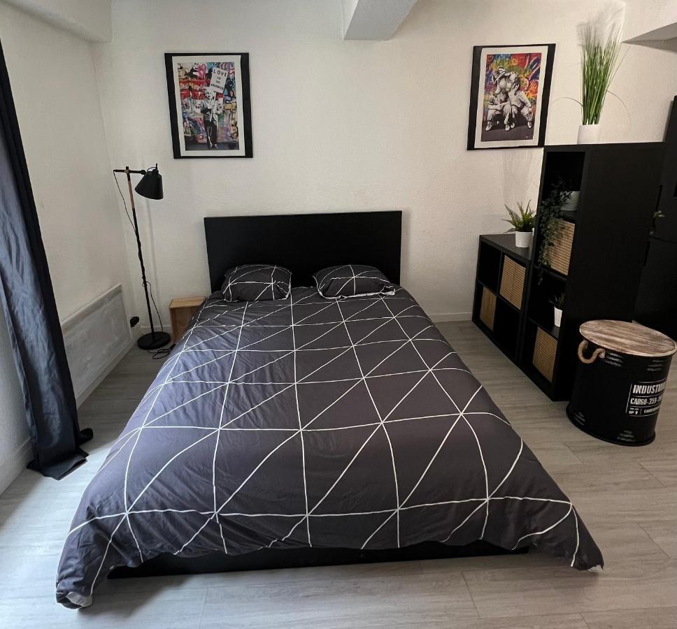 Studio Cosy Au Coeur Du Centre Ville Mâcon Eksteriør billede